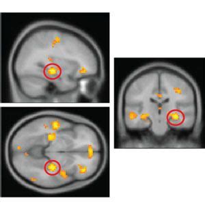 recalling events of the past word hike|The Neuroscience of Recalling Old Memories .